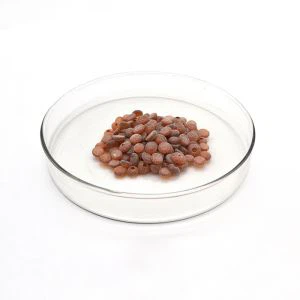 Gummi antioxidant TMQ 26780-96-1
